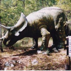 Préhistologia Parc Préhistorique