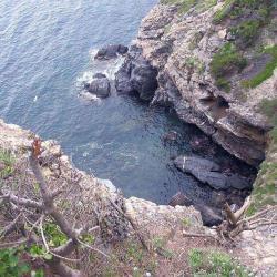 Presqu'île De Giens