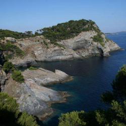 Presqu'île De Giens