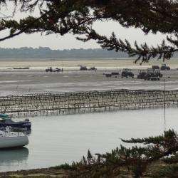 Presqu'île De Pen Bron