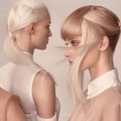 Prestige Coiffure