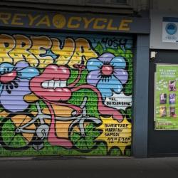 Preya Cycles