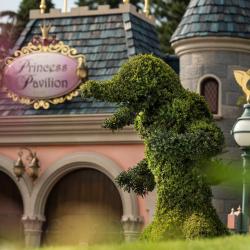 Princess Pavillon Photographs