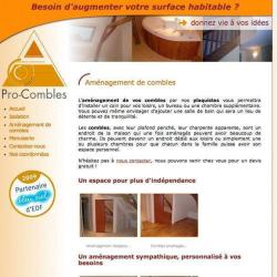 Pro-combles : L'aménagement De Combles