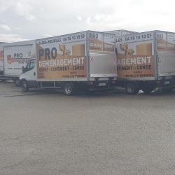 Pro Déménagement
