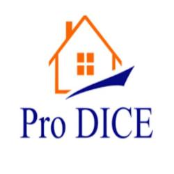 Pro Dice