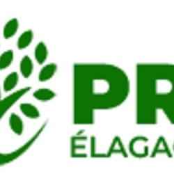 Pro élagages, Paysagiste Expert 33