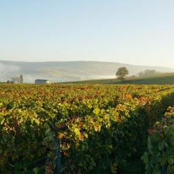 Producteur Champagne Harlin Père Et Fils
