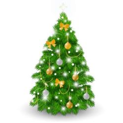 Producteur Sapin De Noel