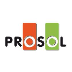 Professionnel Du Sol