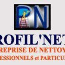Profil'nett