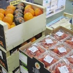 Profruit