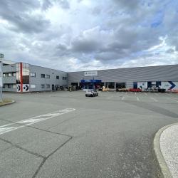 Prolians Beauplet Languille Le Mans