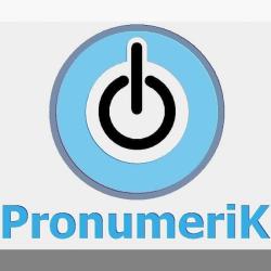 Pronumerik