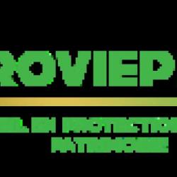 Provieplus - Courtier D'assurances à Epinal