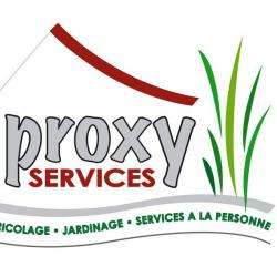 Proxy Services