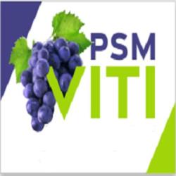 P.s.m Viti