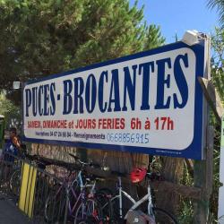 Puces Brocantes Marseillan Plage