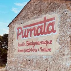 Pumata