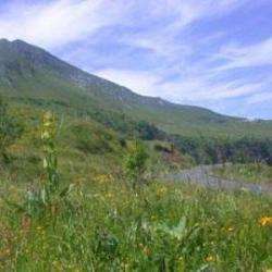 Puy Mary