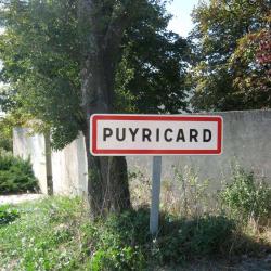 Puyricard