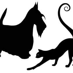 Quand Les Chiens S'en Melent