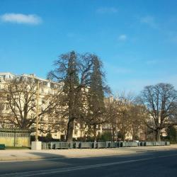 Quartier Avenue Foch