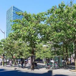 Quartier Jussieu