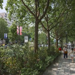 Quartier Porte De La Chapelle