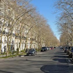 Quartier Saint Jacques