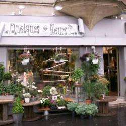 Quelques Fleurs