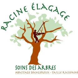 Racine Elagage