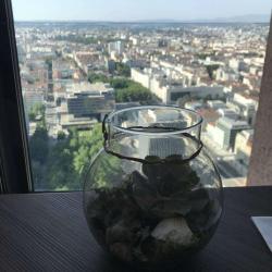 Radisson Blu Hotel, Lyon