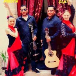 Raíces Flamencas