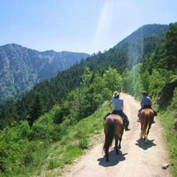Rando Cheval Et Chariot