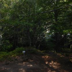 Randonnée Du Lac Des Perches