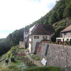 Randonnée Du Schauenberg