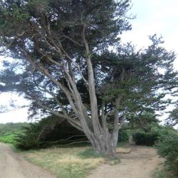 Randonnée Entre Paimpol Et Guilben