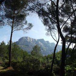 Randonnée Pédestre Sainte-victoire