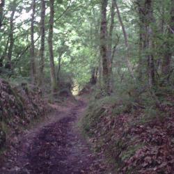Randonnée Sur Le Mont Liscuit