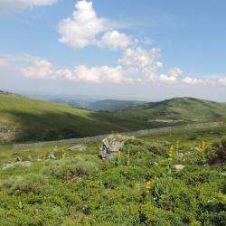 Randonnée Vers Le Plomb Du Cantal