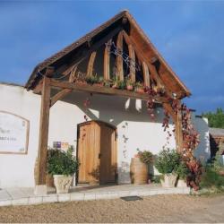 Raphael Midoir - Domaine Touraine Aoc