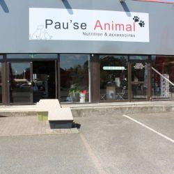 Pau'se Animal