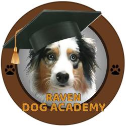 Raven Dog Academy
