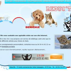 Réduc'tifs