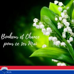 Remax Ava