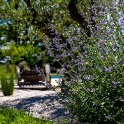 Rebeyrol Createur De Jardins