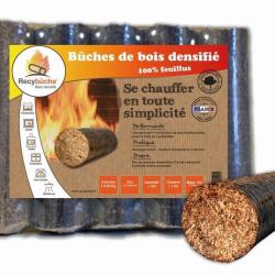 Recybuche