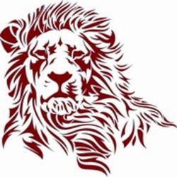 Red Lions Consulting Group