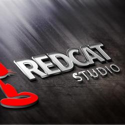 Redcat Studio - Agence Digitale Création De Site Web